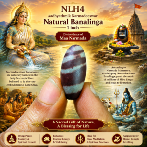 NLH4 - Aadhyathmik Narmadeeswar Natural Banalinga 1inch 5grams
