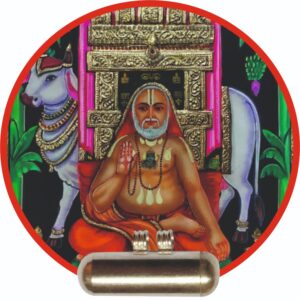 Tyt7 - Guru Raghavendra Anugrah Tabeez Talisman Vedic Mantra Yantra Tantra Moolika Thayath