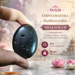 NGS28 - Chinnamastha DasMahaVidya Shaligram Aadhyathmik Original Natural Sacred from Nepal Gandhaki Nadhi 2inch 47grams