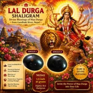 NGS42 - Lal Durga Shaligram Aadhyathmik Original Natural Sacred from Nepal Gandhaki Nadhi 1.5inch 41grams - Slightly Red Shaligram